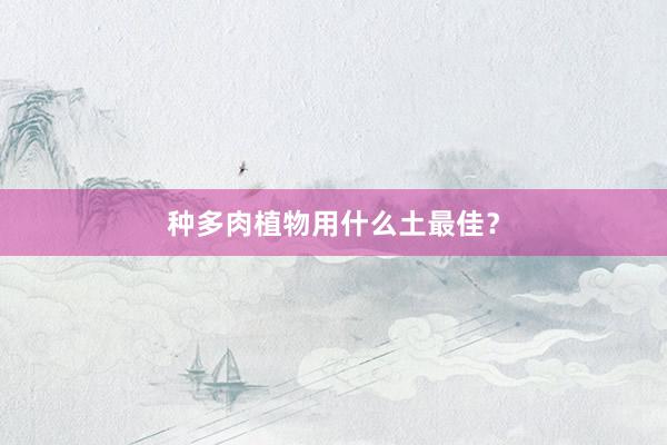 种多肉植物用什么土最佳？