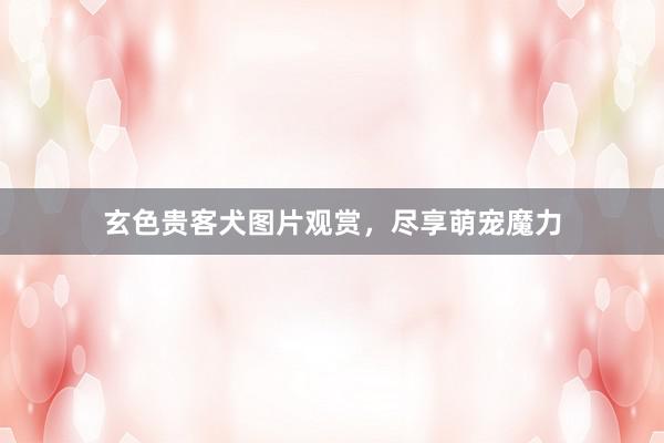 玄色贵客犬图片观赏，尽享萌宠魔力