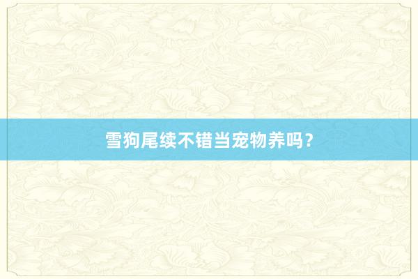 雪狗尾续不错当宠物养吗？