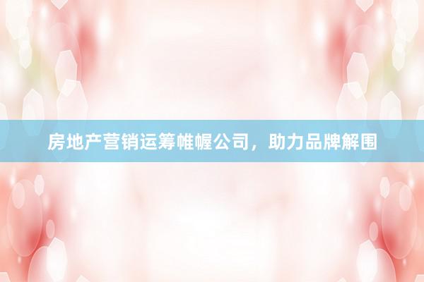 房地产营销运筹帷幄公司，助力品牌解围
